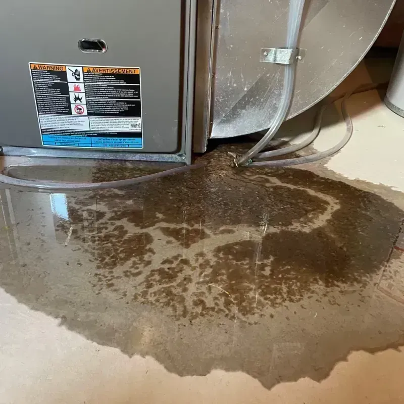 Appliance Leak Cleanup in Cass County, MO